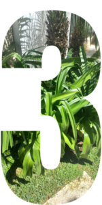 3- entretien de jardin par EREVE CASABLANCA Jardins privés de particuliers | EREVE CASABLANCA