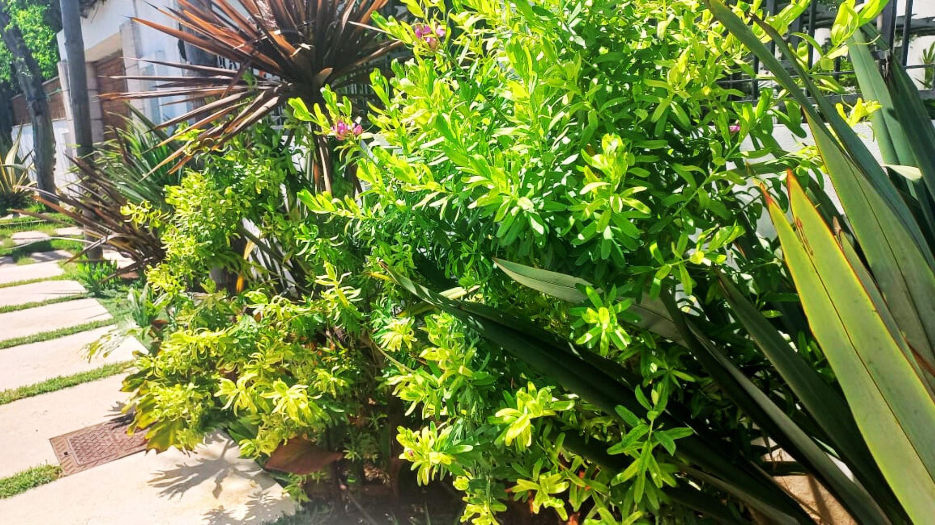 Accueil | EREVE CASABLANCA