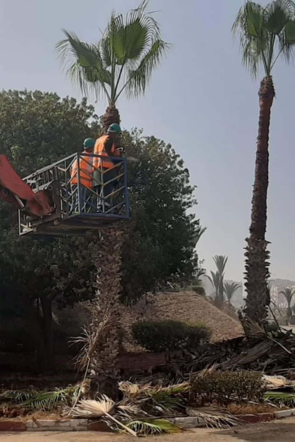 Entretien paysager par EREVE CASABLANCA, jardinier au Maroc (1) Entretien d'espaces verts | EREVE CASABLANCA