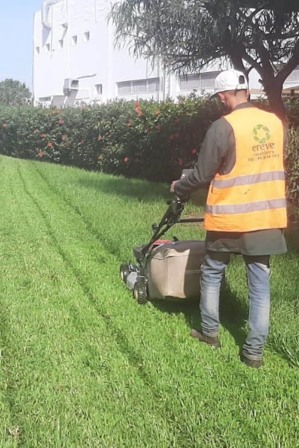 Entretien paysager par EREVE CASABLANCA, jardinier au Maroc Entretien d'espaces verts | EREVE CASABLANCA
