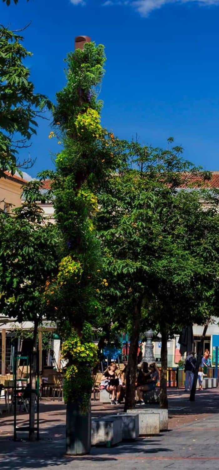 Colonne végétalisée MUBE partenaire de EREVE CASABLANCA au Maroc (1) Mube | EREVE CASABLANCA