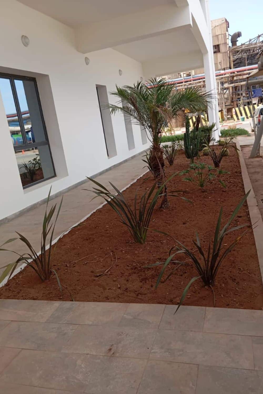Entretien espaces verts par EREVE CASABLANCA, Maroc Espaces verts des entreprises | EREVE CASABLANCA